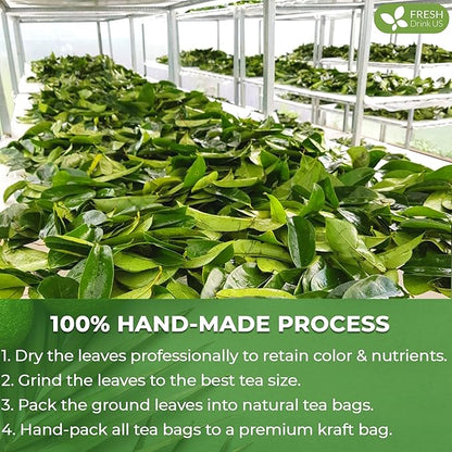 FreshDrinkUS, Premium 33 Soursop Graviola Leaf Tea Bags, 100% Natural & Pure from Soursop Leaves, Hoja Guanabana Herbal Tea. Made with Natural Material Tea Bags. No Sugar, No Caffeine, Vegan.