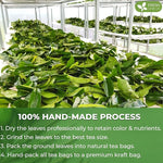 Load image into Gallery viewer, FreshDrinkUS, Premium 75 Soursop Graviola Leaf Tea Bags, 100% Natural and Pure from Soursop Leaves, Handmade, Made With Natural Materials-Corn Fiber Tea Bag, Sugar/ Caffeine/ Gluten Free, Hoja Guanabana Tea