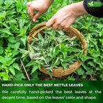 Load image into Gallery viewer, FreshDrinkUS, Premium 135 Nettle Leaf Tea Bags, 100% Natural &amp; Pure, Stinging Nettle Leaf Tea, Burn Nettle, Stinging Nettle, Stinger Tea, No Sugar/Caffeine/Gluten, Vegan