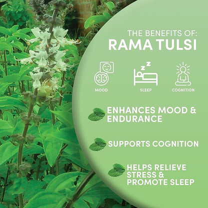 Worldwide Botanicals Organic Holy Basil Tea, 8oz - Tulsi Rama - Loose Leaf Premium Herbal Tea, 100% Pure Tulsi Holy Basil, Fair Trade, Adaptogenic, Kosher