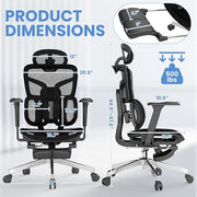 High-Back Ergonomic Mesh Office Chair, Modern Executive Desk Chair with 4D Armrests Computer Task Chair (Black Mesh Dual Lumbar Support)