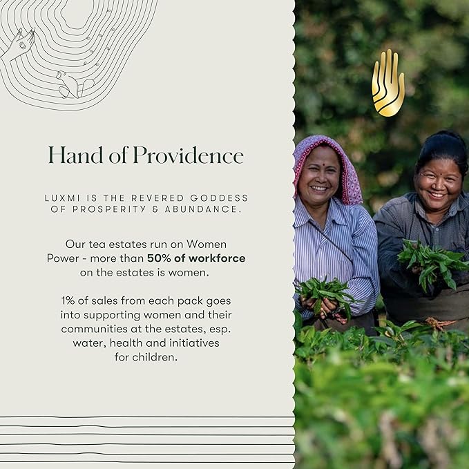 Luxmi Estates Tale of Two Estates Organic English Breakfast Tea (50 Tea Bags) Caffeinated Tea Bags For A Morning Boost and Natural Energy, With Certified Organic Darjeeling & Assam Black Tea