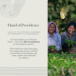 Load image into Gallery viewer, Luxmi Estates - Queen of the Hills - Organic Black Tea - Loose Leaf - 100g (50 Cups) | Freshly Harvested Organic Makaibari Darjeeling Tea | Best Natural Flavor Tea The World Has To Offer