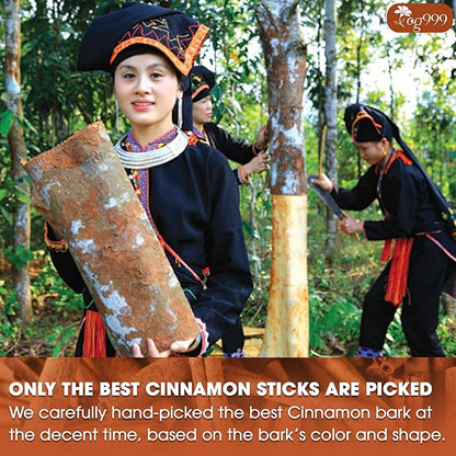 TOG999, Premium 25 Tea Bags - Special Cinnamon Tea, 100% Natural & Pure, Herbal Tea. Cinnamon Stick Herbal Spice