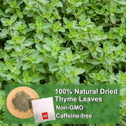 FullChea - Thyme Tea Bags, 40 Teabags - Premium Thyme Leaves - Non-GMO - Caffeine-free, Promote Overall Health, Support Digestion