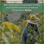 Load image into Gallery viewer, The Bean Coffee Company Organic Coffee Water Processed DECAF Aloha Bean Hawaiian Hazelnut Medium Roast Whole Bean Coffee 16-Ounce (Pack of 2)