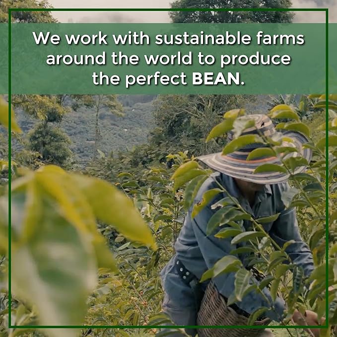 The Bean Organic Coffee Company Water Processed DECAF Aloha Bean (Hawaiian Hazelnut), Medium Roast, Whole Bean Coffee, 5-Pound Bag