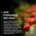 Load image into Gallery viewer, Illy Whole Bean Coffee, Classico Medium Roast - Mild &amp; Balanced - 100% Arabica - Whole Beans - Pressurized Packaging Sealed for Freshness - 8.8oz can (Pack of 12)