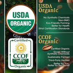 Load image into Gallery viewer, The Bean Organic Coffee Company Chocolate Macadamia Nut, Medium Roast, Whole Bean Coffee, 16-Ounce Bags (Pack of 2)