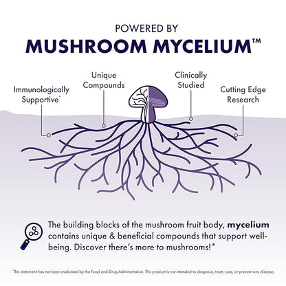 Host Defense MycoBrew Mocha - Mocha Drink Mix - Includes Lion's Mane Mushroom - Drink Mix with Fair Trade Certified Cocoa & 100% Arabica Instant Coffee - 10 Packets (10 Servings)