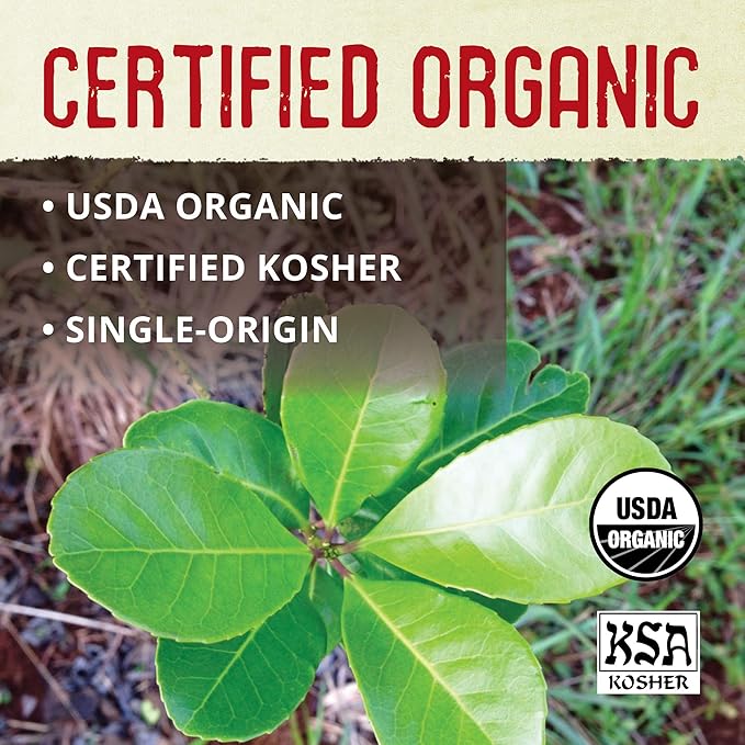 ECOTEAS Premium Organic Yerba Mate Tea Bags – Natural Energy & Detox Herbal Tea – Coffee Alternative - Kosher, Non-GMO, Gluten-Free - 100 Unsmoked Bulk Bags, 8.8 oz (Pack of 1)