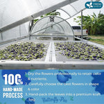 Load image into Gallery viewer, FreshDrinkUS, Premium 16oz Blue Butterfly Pea Flowers Dried – Premium Whole Flower Herbal Tea – Vibrant Blue Natural Color – Caffeine-Free Loose Flower Tea. Vegan