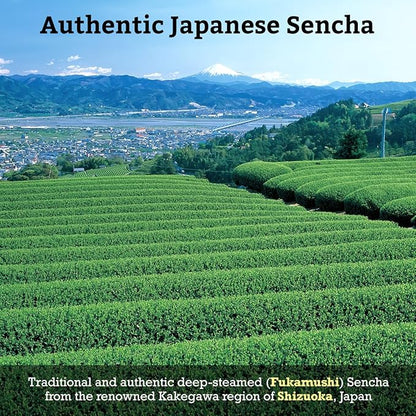 SUGIMOTO TEA Japanese Sencha Green Tea Loose Leaf 3.5 oz (100 g) Pack of 1