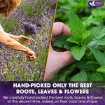 Load image into Gallery viewer, FreshDrinkUS, Premium 55 Tea Bags Lavender Mint Tea, 100% Natural, Blend of Lavender, Peppermint, Sage and Licorice. Made with Natural Material Tea Bags. No Sugar, No Caffeine, Vegan.