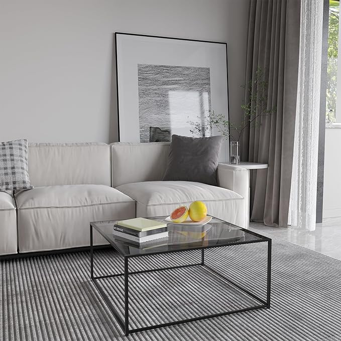Glass Coffee Tables for Living Room Square Modern Center Table for Small Space,Tempered Glass-top with Sturdy Metal Frame Sofa Side End Table, Easy Assembly,26.4 x 26.4 x 15.7 Inches, Gray Black