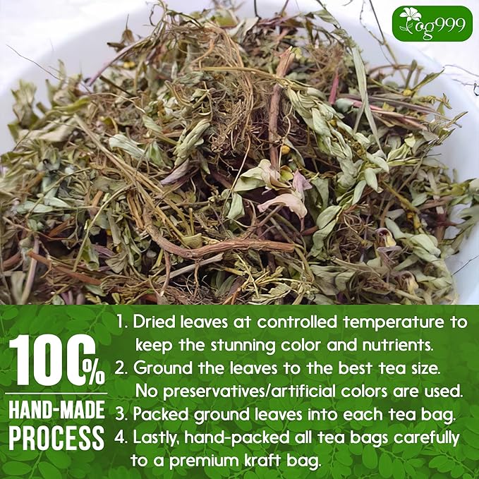 TOG999, 60 Tea bags Dried Chanca Piedra Leaves, Chanca Piedra Tea “Stone Breaker” 100% Natural & Pure. Made with Natural Material Tea Bags. No Sugar, No Caffeine, No Gluten, Vegan.