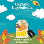 Load image into Gallery viewer, Clipper Tea Spicy Chai Herbal Tea – Caffeine Free, USDA Organic, Great Hot or Iced – Warming, Spicy, Natural, Fair &amp; Delicious – 200 Tea Bags