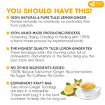 Load image into Gallery viewer, FreshDrinkUS, Premium 35 Tulsi Lemon Ginger Tea Bags, 100% Natural &amp; Pure from Tulsi Holy Basil Leaves, Lemon and Ginger. Made with Natural Material Tea Bags. No Sugar, No Caffeine, Vegan.