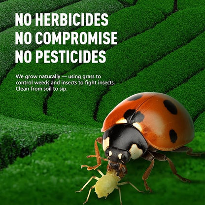 Emerail Ceremonial Grade Matcha Green Tea Powder, Premium First Harvest Unsweetened, 100% Pure Matcha for Lattes, Smoothies, and Baking (40g / 1.4oz)