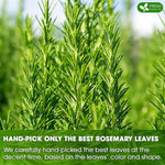 Load image into Gallery viewer, FreshDrinkUS, Premium 40 Rosemary Leaf Tea Bags, 100% Natural and Pure Rosemary Dried Leaves, Pure Herbal Tea, No Additives, No Caffeine, No Gluten, Vegan.