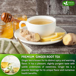Load image into Gallery viewer, FreshDrinkUS, 150 Premium Ginger Tea Bags, Non GMO, 100% Natural &amp; Pure from Ginger Root, Root Herbal Tea. No Sugar, No Caffeine, No Gluten, Vegan. Support Stronger Digestion, Pleasantly Spicy &amp; Warming