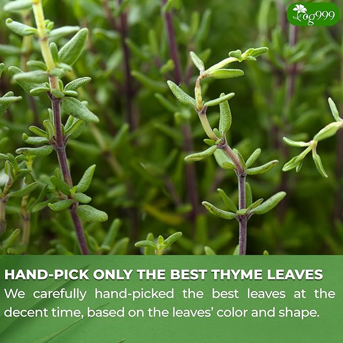 TOG999, Premium 120 Thyme Leaf Tea Bags, 100% Natural & Pure Thyme Leaves. Loose Leaf Thyme Herbal Tea. Thyme Leaf Tea. No Sugar, No Caffeine, No Gluten, Vegan.