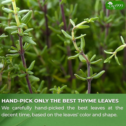 TOG999, Premium 120 Thyme Leaf Tea Bags, 100% Natural & Pure Thyme Leaves. Loose Leaf Thyme Herbal Tea. Thyme Leaf Tea. No Sugar, No Caffeine, No Gluten, Vegan.