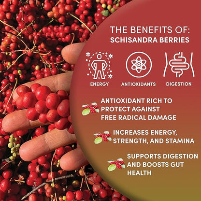 Worldwide Botanicals Organic Schisandra Berries, 1lb, tea cut for best infusion. 100% Schisandra chinesis AKA Five Flavor Fruit, Omija, Wu Wei Zi, Adaptogen Tea, 16 ounces