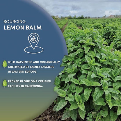 Worldwide Botanicals Organic Lemon Balm Tea, 1Lb - Loose Leaf Premium Herbal Tea | 100% Pure Lemon Balm Leaves | For Stress Relief and Good Digestion | Kosher
