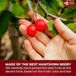 Load image into Gallery viewer, FreshDrinkUS, 16oz Premium Dried Hawthorn Berries – All-Natural, Non-GMO, Perfect for Tea, Smoothies, Baking &amp; Snacking – Healthy, Versatile Superfood