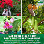 Load image into Gallery viewer, FRESHDRINKUS, 20 Packs of Oil Reducing Tea, Oil Cleansing for Liver, 10 Herbal Ingredients, Traditional Recipe Tea for Liver, 100% Natural, Easy Brewing, Steep Repeatedly