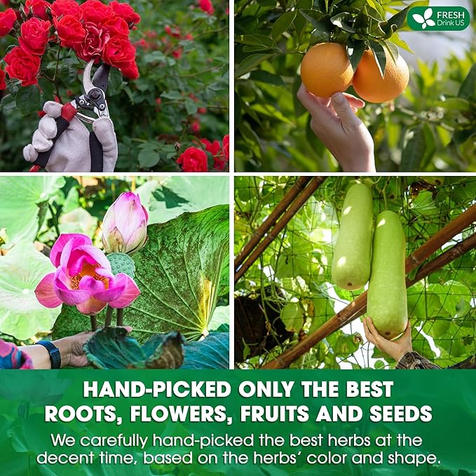 FRESHDRINKUS, 20 Packs of Oil Reducing Tea, Oil Cleansing for Liver, 10 Herbal Ingredients, Traditional Recipe Tea for Liver, 100% Natural, Easy Brewing, Steep Repeatedly