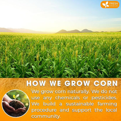 FreshDrinkUS, Premium 135 Tea Bags Corn Silk Tea, 100% Natural & Pure from Corn Silk. Corn Silk Herbal Tea. Clean Ingredients. Made with Natural Material Tea Bags. No Sugar, No Caffeine, Vegan.