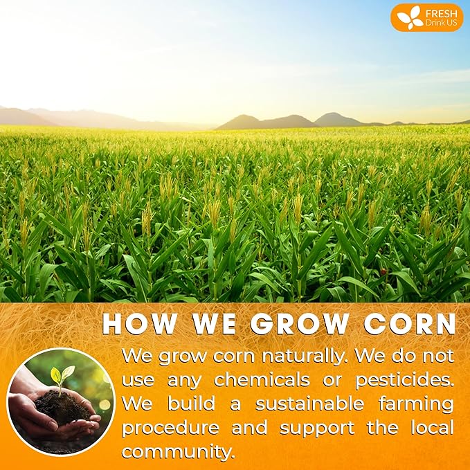 FreshDrinkUS, Premium 75 Tea Bags Corn Silk Tea, 100% Natural & Pure from Corn Silk. Herbal Tea. Clean Ingredients. Made with Natural Material Tea Bags. No Sugar, No Caffeine, Vegan.