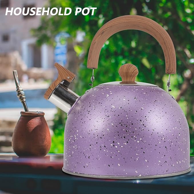 Hemoton Stainless Steel Water Kettle Food-grade Heating Pot for Boiling Water Compatible with Gas Stove Induction Cooker Convenient Handle Elegant Design