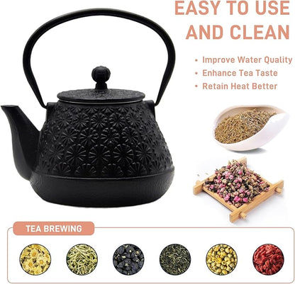 20.3oz Small Cast Iron Teapot, SECHUDO Tea Kettle for Stovetop Safe Coated with Enameled Interior, Japanese Style Tea Pot with Stainless Steel Infuser for Loose Tea (Black Gerbera Pattern)