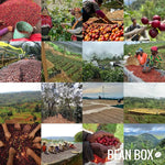 Load image into Gallery viewer, Connection - Cold Brew Blend - Roasted by Greater Goods Coffee Co. - Whole Bean Coffee - 2 Pound Bag