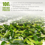 Load image into Gallery viewer, FreshDrinkUS, Premium Soursop Graviola Leaf Tea | 45 Tea Bags form Powder, 100% Natural and Pure, Handmade, Made With Natural Materials-Corn Fiber Tea Bag, Sugar/Caffeine Free, Hoja Guanabana Tea