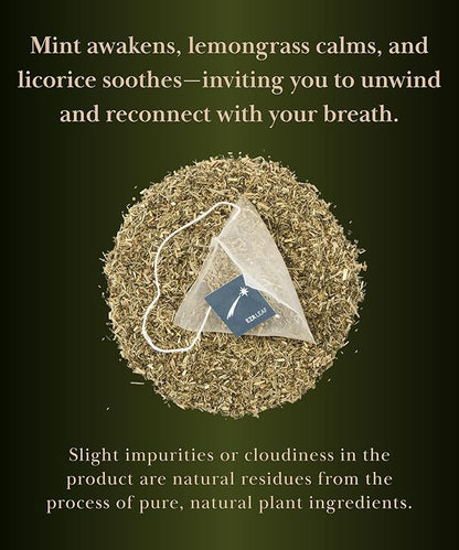 EZR Leaf Mint Herbal Tea, Caffeine Free Decaf, Pyramid Tea Bags 20 Counts 2.1 Once German Peppermint, Lemongrass, Licorice Blend for Relaxation, After-Meal, Bedtime