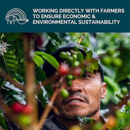 Stone Creek Coffee Medium Roast Ground Coffee – 2 LB (Pack of 1) – Specialty Smooth and Sweet Fresh Roasted Coffee Beans with Fruity/Chocolate Tasting Notes, Cream City