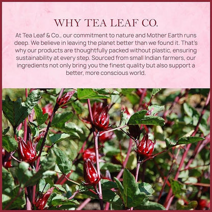 Tealeaf & Co. Hibiscus Tea with Hibiscus Flowers Extract - Pure Herbal Tea Bags Blended with Fresh Herbs - Flavored Herbal Blend - Low Caffeine - Gluten Free - 50 Teabags