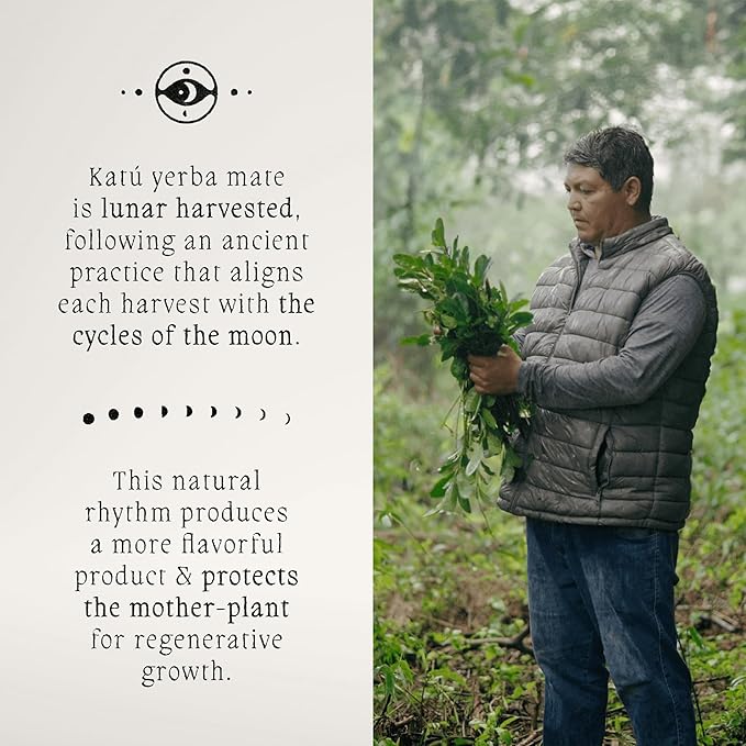 Katú Kojoi Premium Organic Yerba Mate Tea, Slow Roasted, Unsmoked, Air Dried, Loose-Leaf, Aged, Natural Energy, 17.6 oz (500g)