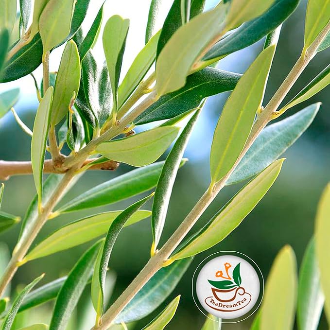 TeaDreamTea Lemongrass 400 Tea Bags - Supports Healthy Digestion - Premium Quality Herbal Tea - Caffeine Free Tea - Enjoy It Hot Or Cold Bulk Tea Bags with Refreshing Herbal TeaNeed