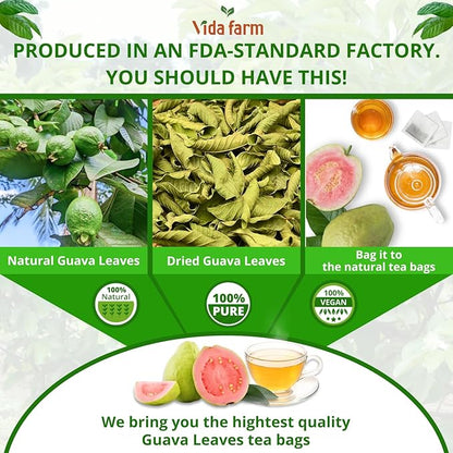 VIDA FARM 125 Premium Guava Leaf Tea Bags, Zero Sugar Tea, Handpicked, 100% Pure and Natural Guava Leaves, Non-GMO, No Caffeine, Gluten-Free, Vegan