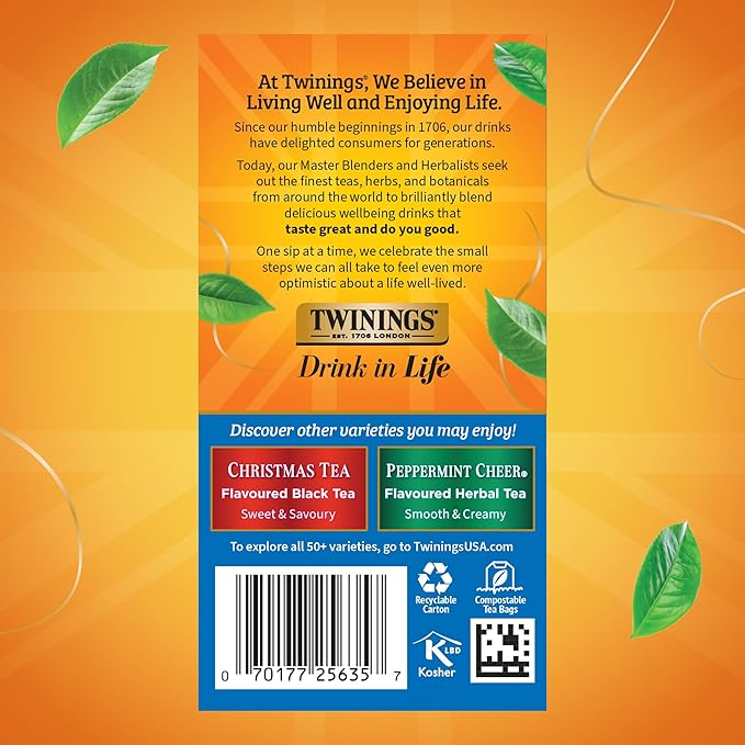 Twinings Winter Spice Herbal Tea Individually Wrapped, 20 Count (Pack of 6), Includes Camomile, Apple, Cinnamon, & Clove, Naturally Caffeine-Free, Enjoy Hot or Iced