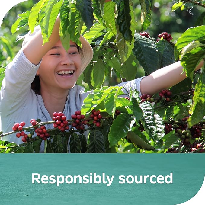 NESCAFÉ Espresso Concentrate Black, Instant Espresso Coffee Concentrate, Cold Brew Style, Iced Coffee Style Drinks, 10 fl oz