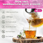 Load image into Gallery viewer, FreshDrinkUS, Premium 55 Marshmallow Root and Leaf Tea Bags, 100% Natural &amp; Pure. Loose Leaf Marshmallow Herbal Tea. Made with Eco-Conscious Tea Bags. No Sugar, No Caffeine, No Gluten, Vegan.