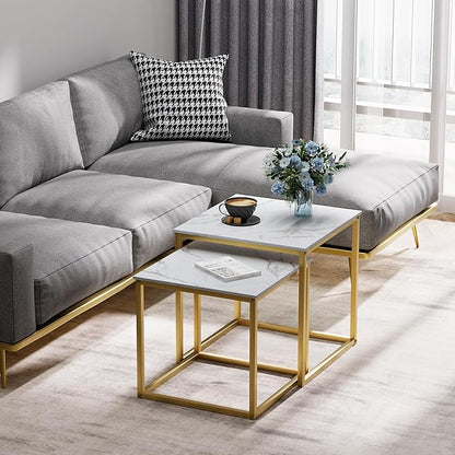 VILAWLENCE Coffee Table Set of 2, Modern Gold Wooden Side Table, Metal Frame Square End Table, Center Tables,Nesting Coffee Table for Living Room,Bedroom and Small Spaces