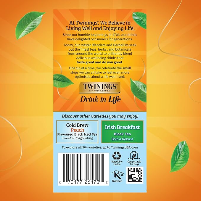 Twinings Mint Green Cold Brew Iced Tea Bags, 20 Count (Pack of 6), Unsweetened Flavoured Green Tea, Caffeinated, 120 Teabags