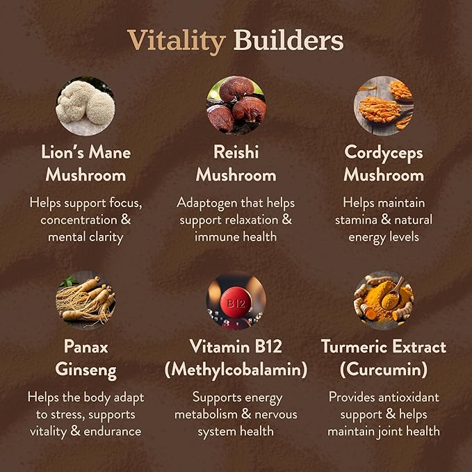 More. Longevity & Wellbeing Mushroom Coffee Superfood – 7 Functional Mushrooms with Lion’s Mane, Reishi, Chaga & Ashwagandha Extract, Instant Coffee Alternative with Prebiotics and Essential Vitamins for Focus & Energy, Mocha